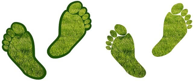 Carbon Foot Print